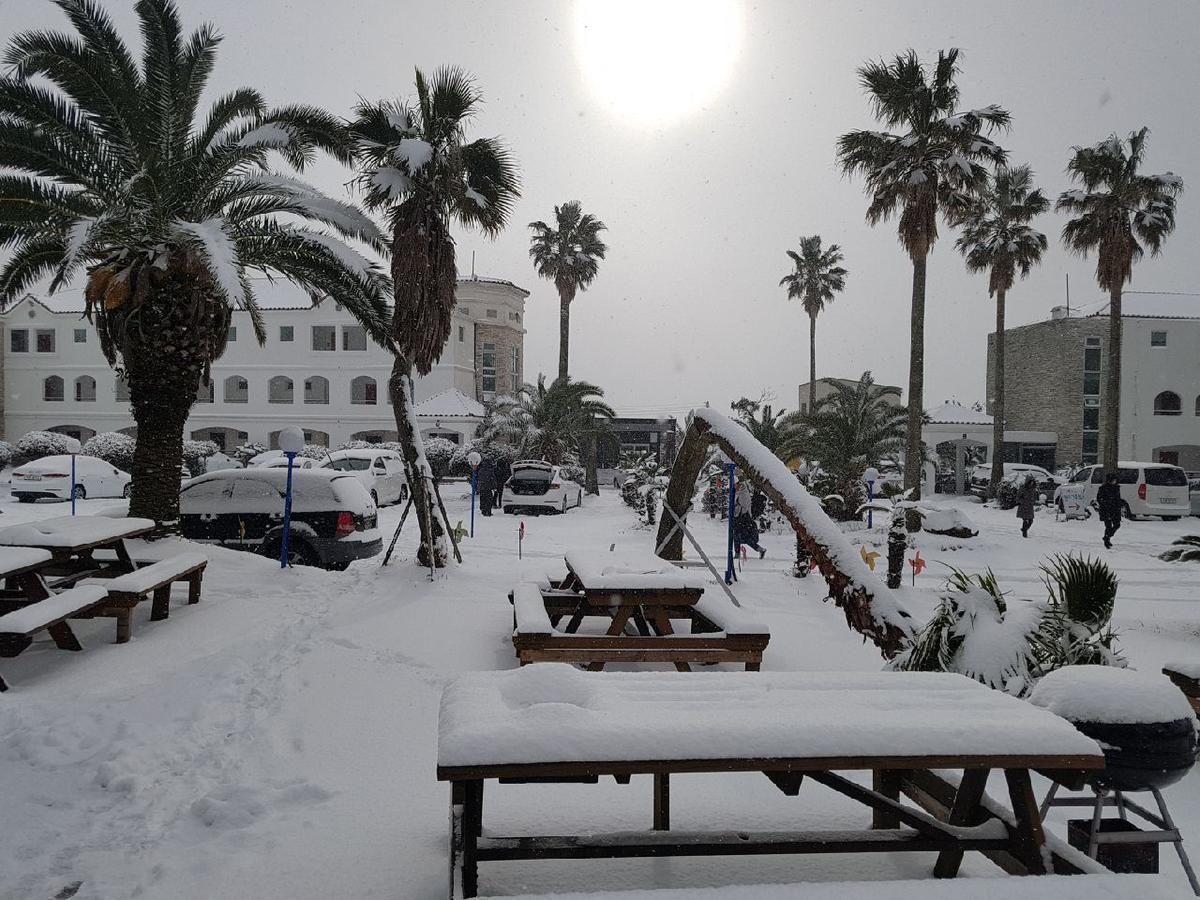 Lasania Resort Seogwipo Zewnętrze zdjęcie